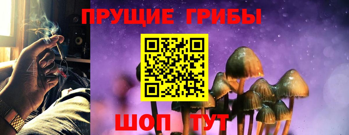 Галлюциногенные грибы Psilocybine cubensis  Галлюциногенные грибы мицелий  Новый Уренгой  Вход с VPN 